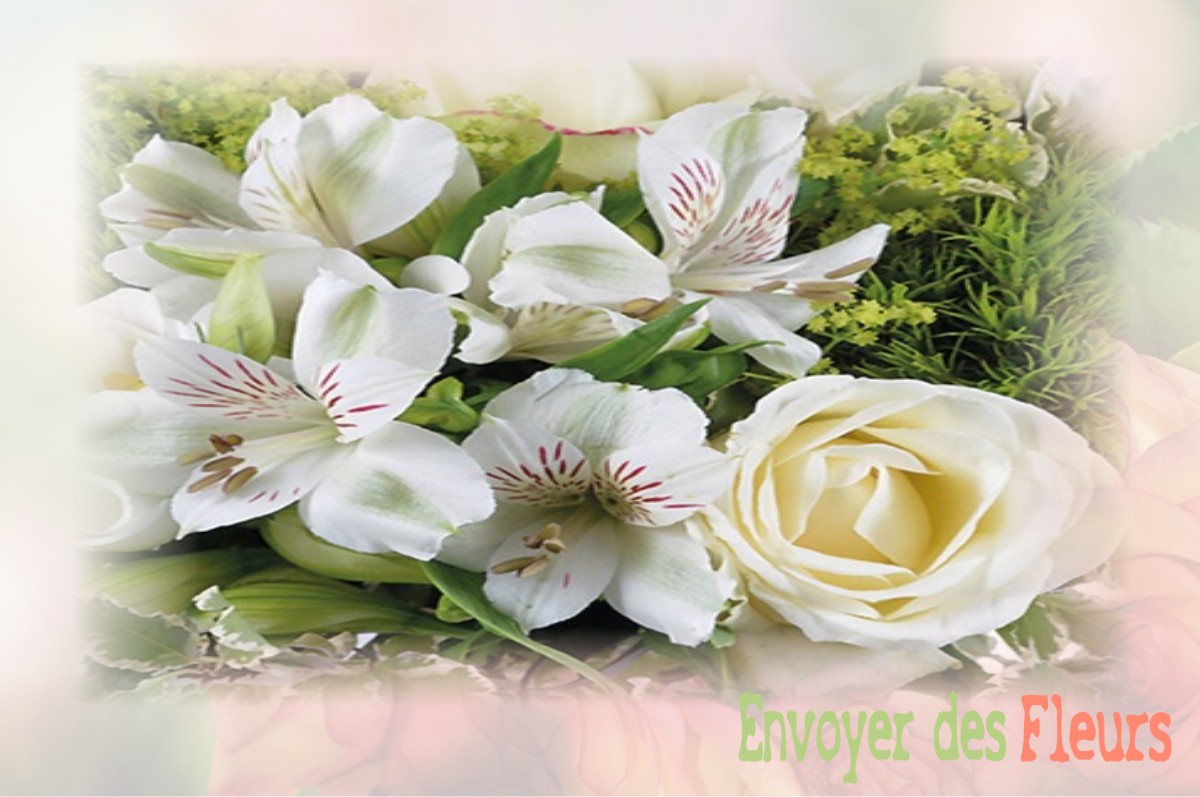 envoyer des fleurs à à SAINT-PATRICE-DU-DESERT